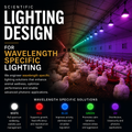 Service A: Wavelength Specific Lighting Design