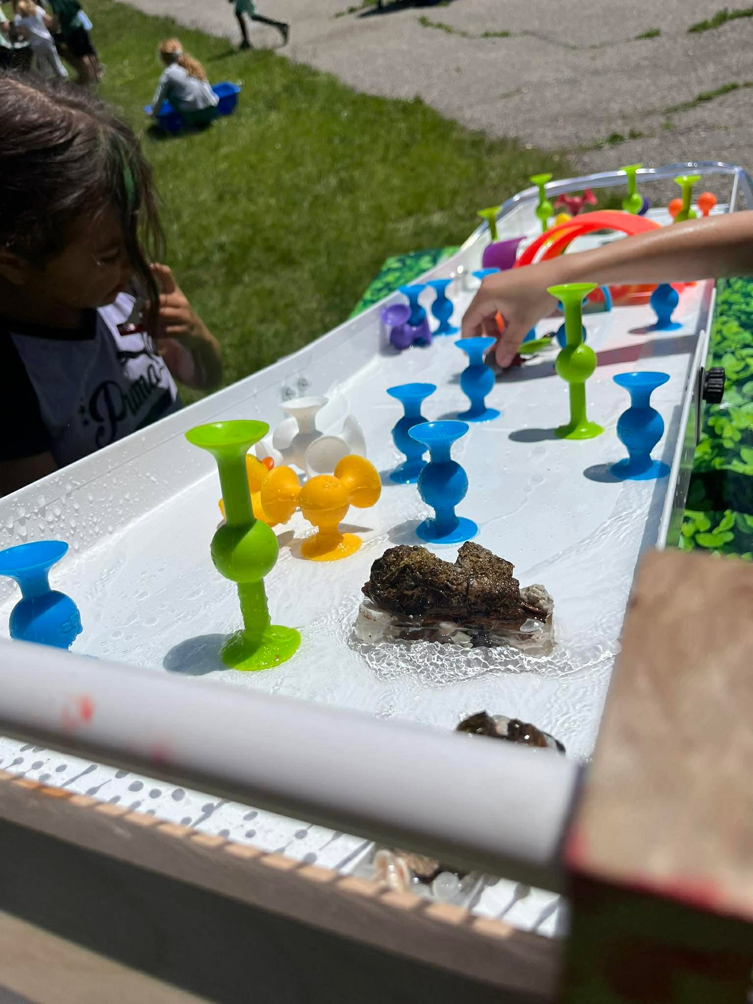 Project A: The Dream Stream a Sensory Experience