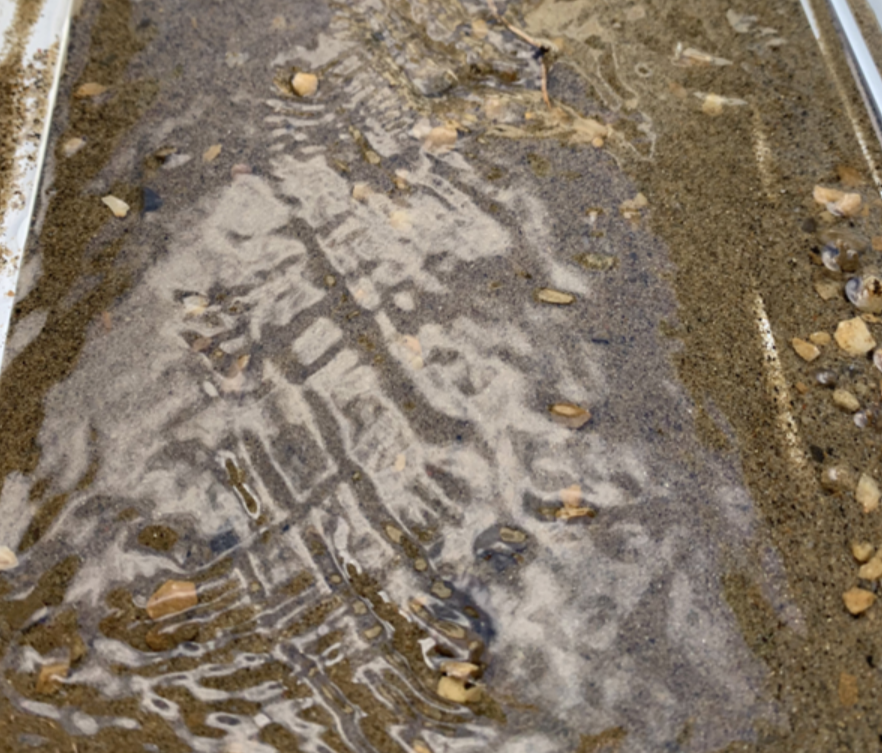 Project A: The Dream Stream a Sensory Experience